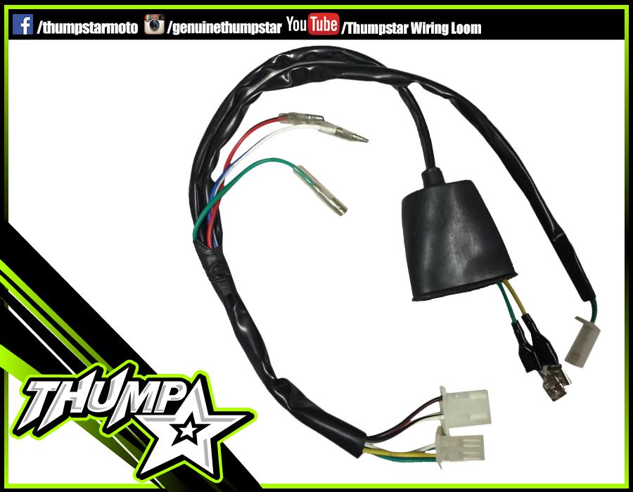 7355 | Wiring Loom | 2 Plug, 5 Pin CDI | Splayed Wires